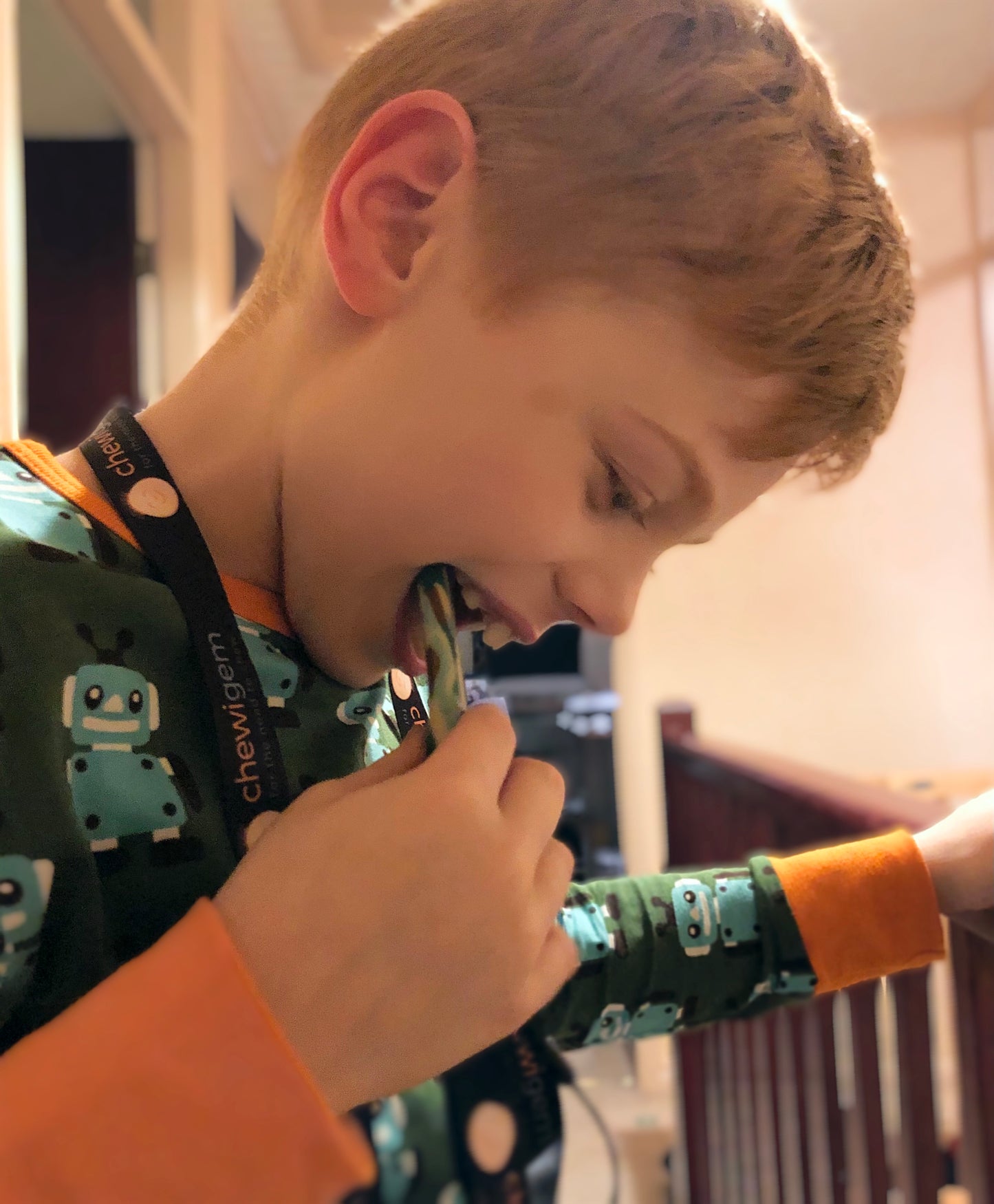 Toggle Board Chewie (touch and durable)