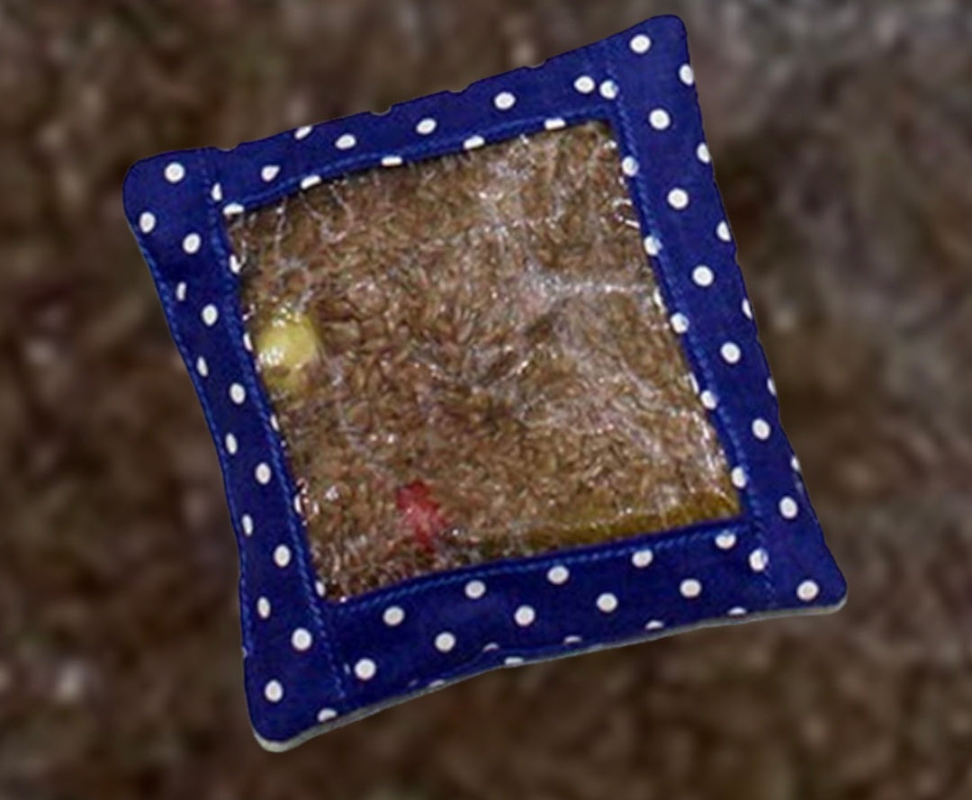 Explore Your Senses, Transparent Bean Bags x6