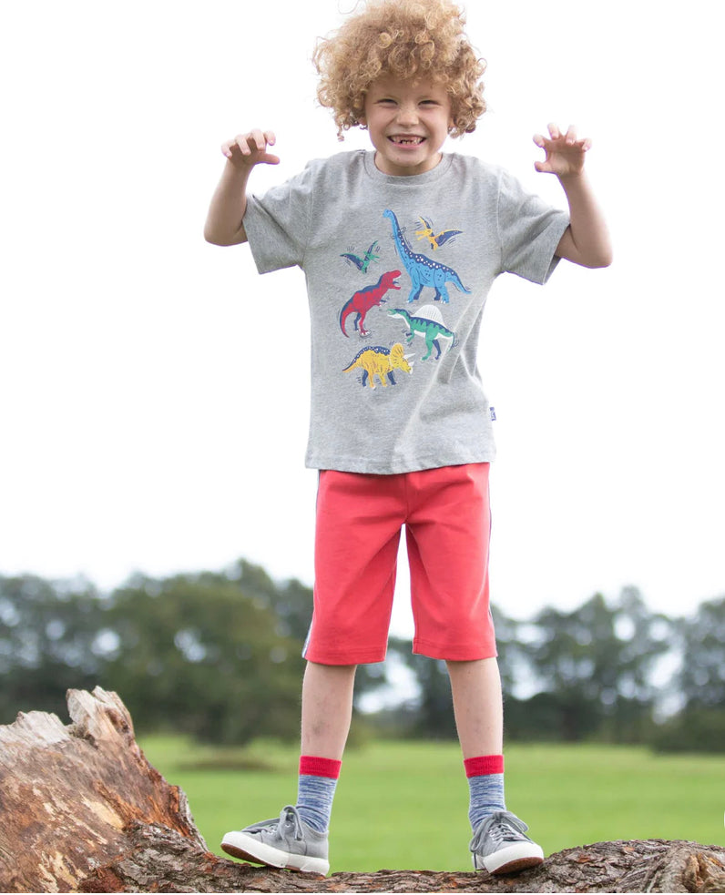 Kite Dinosaur Stomp T Shirt