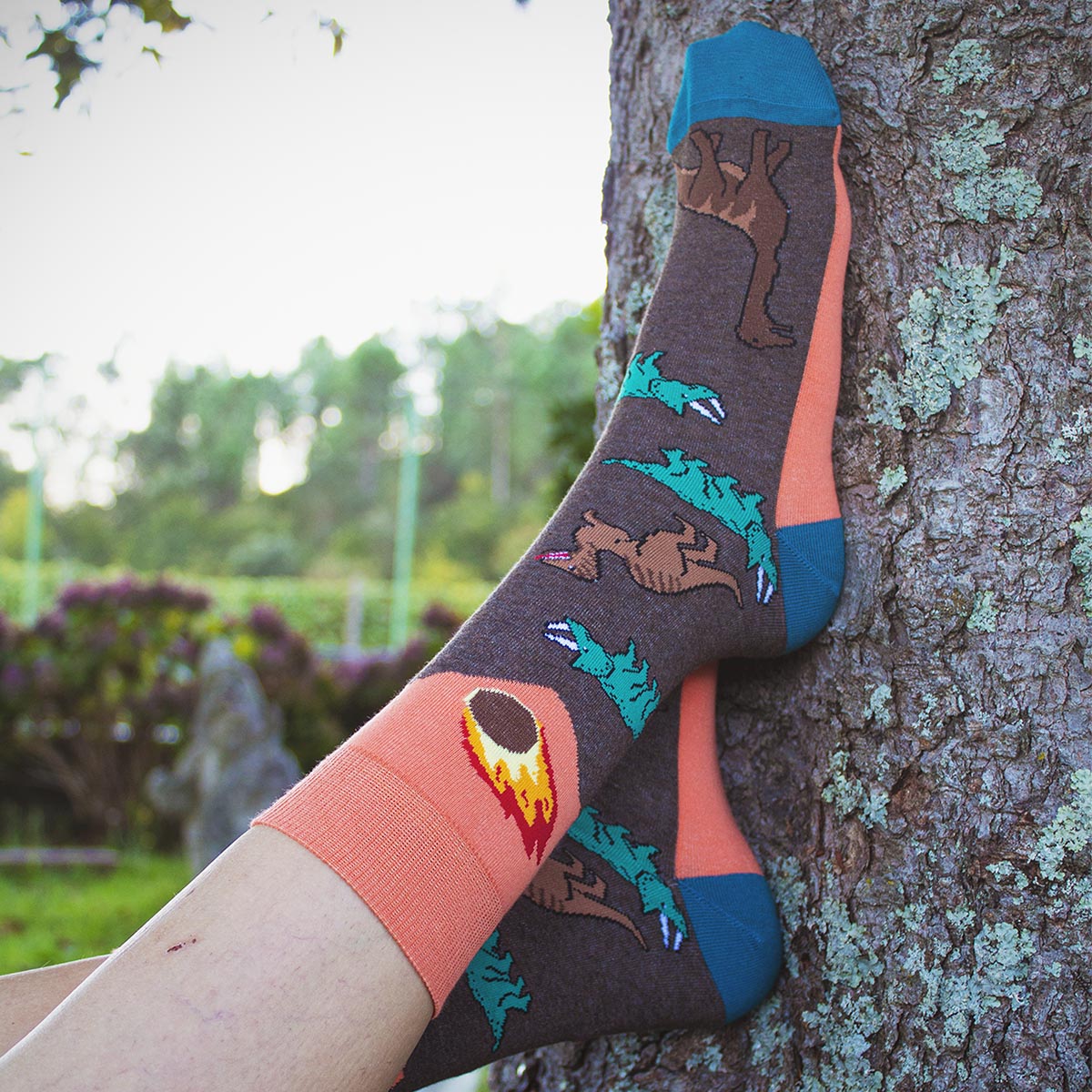 Brown Dino Socks- Adult sizing