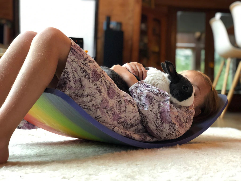 Rainbow Balance Board