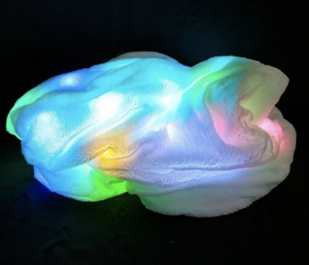 Large Light Up Sensory Blanket