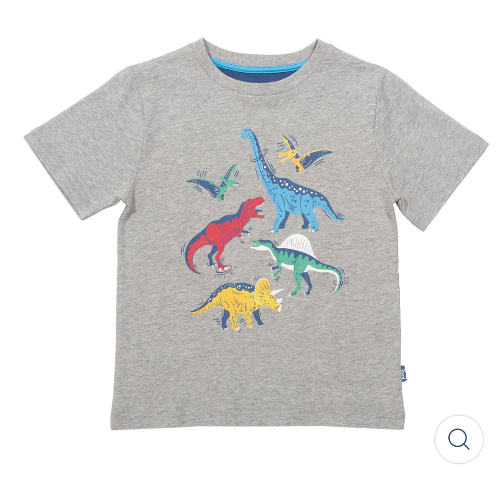 Kite Dinosaur Stomp T Shirt